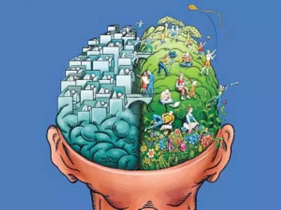 头越大越聪明 别给自己的智商找借口了 连网