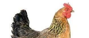 关系=有关系=发生关系 （太经典！）