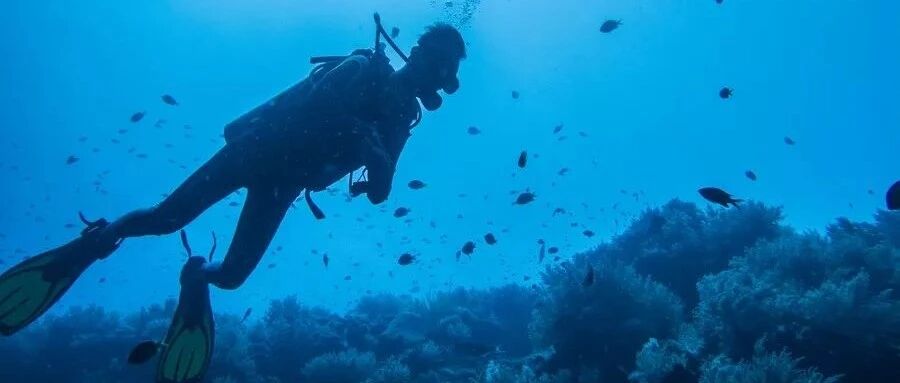 《钓鱼》的结局，惊醒无数人！