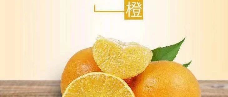 果冻橙爱媛，你的冬天有点甜！