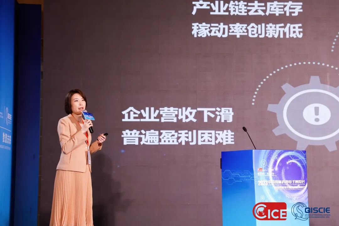CINNO創始人陳麗雅受邀參加2023中國國際消費電子博覽會新型顯示高峰論壇并發表演講的圖24