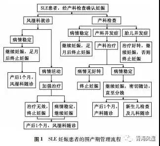 【妊娠知识】关于系统性红斑狼疮妊娠，你需要了解