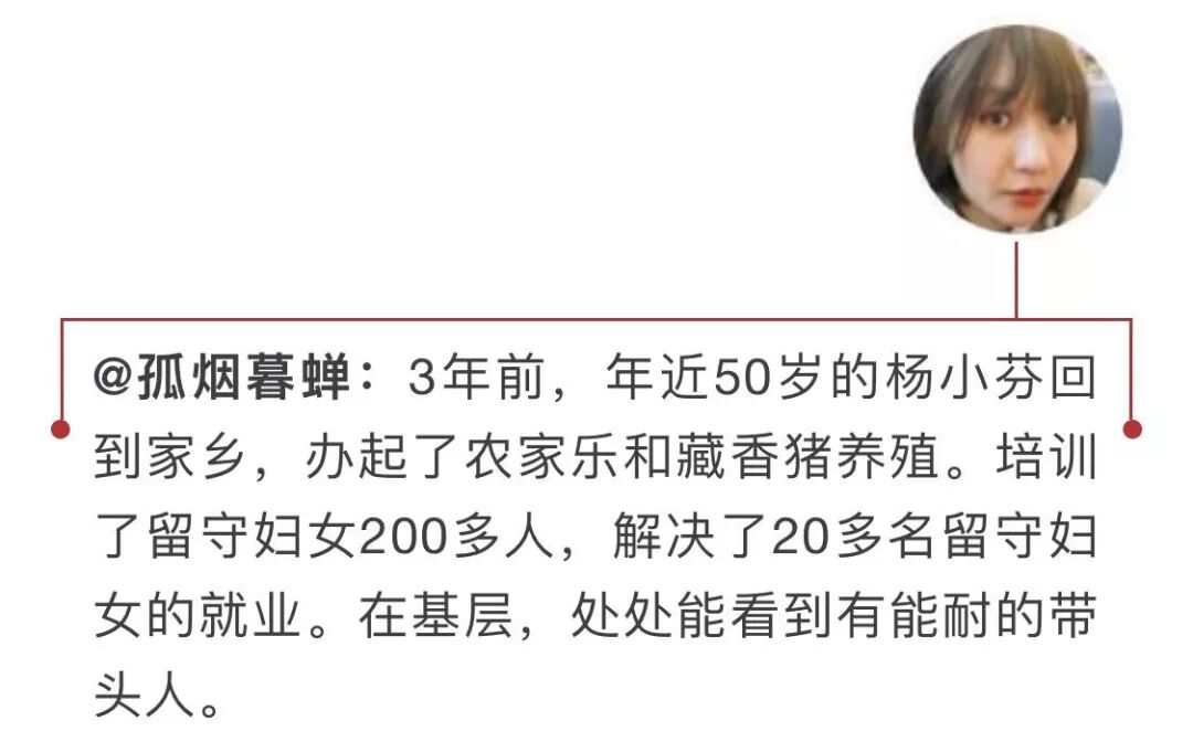 一路芬芳巴渝行 | 跟大V打卡重庆 走基层全程放送