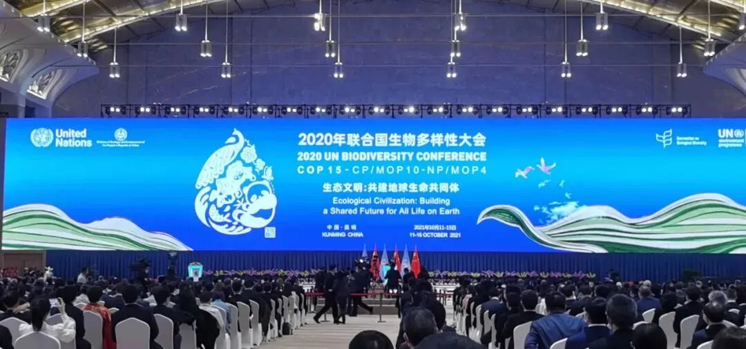 Cop15第一阶段会议圆满落幕啦 熊猫君带你速览 高光时刻 全网搜