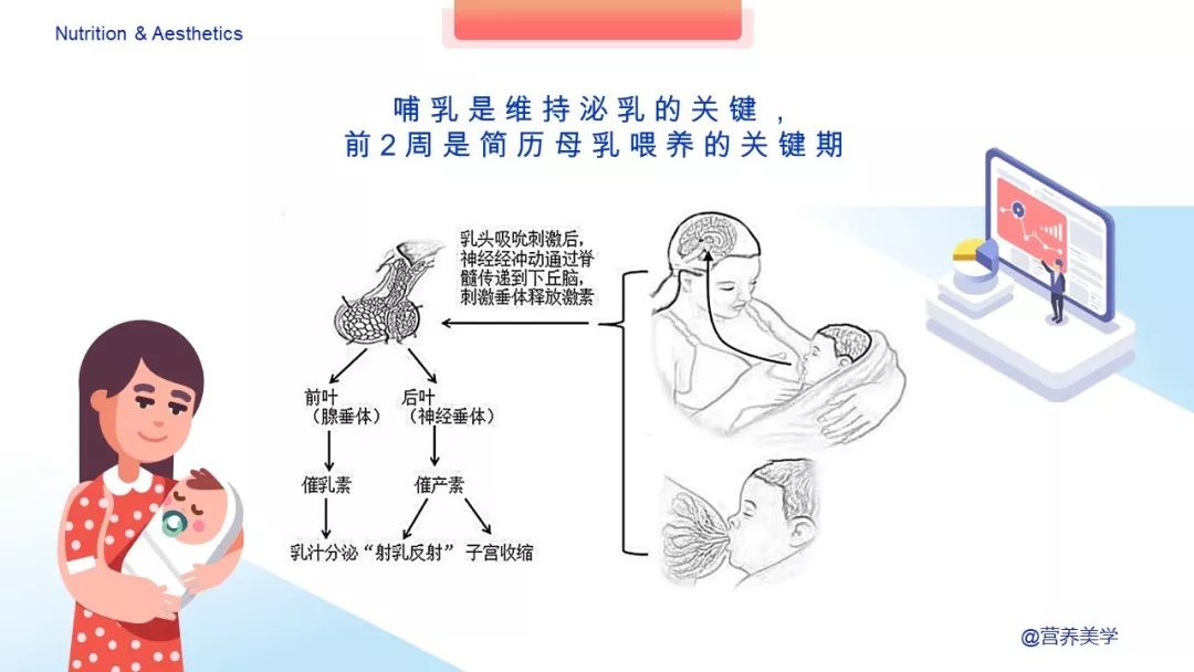 指南如何科学母乳喂养