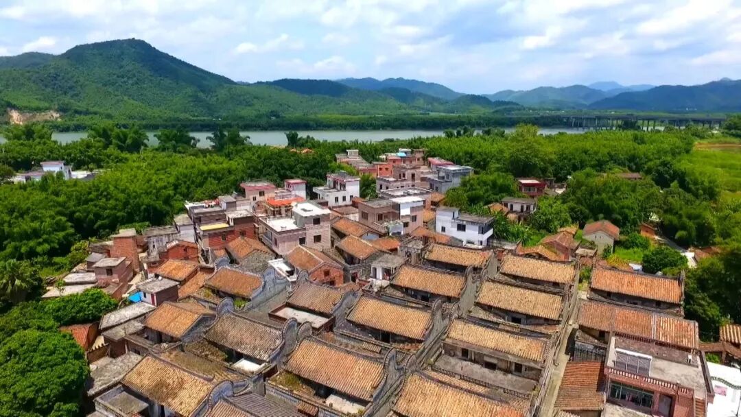 四会绥江沿线自驾休闲游路线的景点中,就包含黄田镇的柑桔产业园,江头