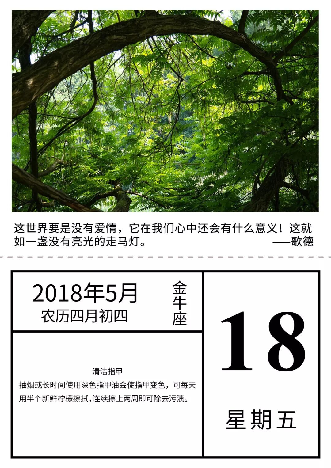 早安晚安励志正能量微商素材 自由微信 Freewechat