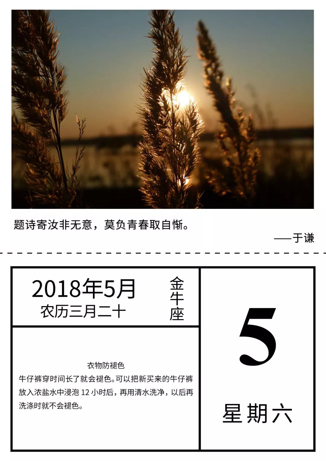 早安晚安励志正能量微商素材 自由微信 Freewechat