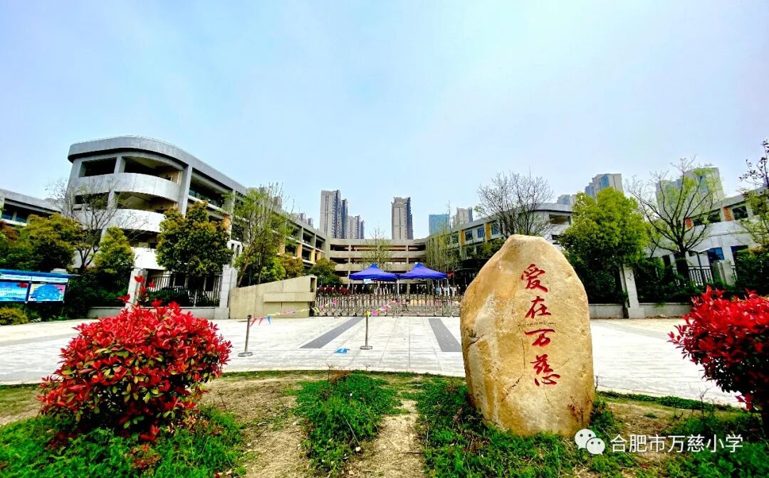 代表安徽教师包河区教师张炎在长三角地区班主任基本功大赛夺魁