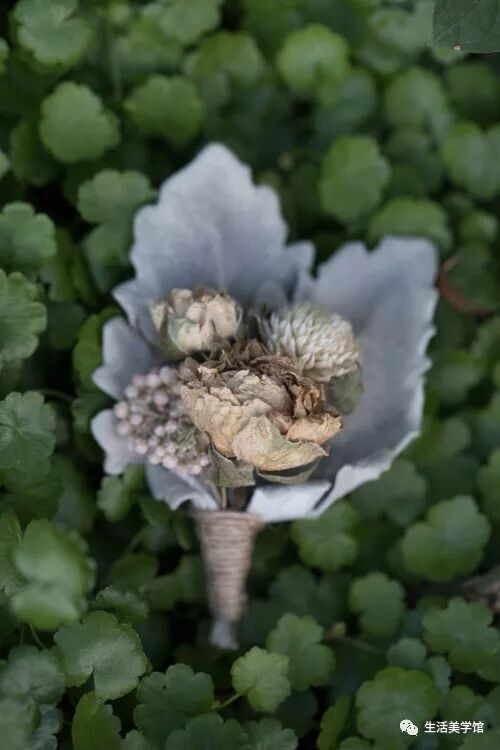 观花不语 别以为人到中年 就算完事 生活美学馆 微信公众号文章阅读 Wemp