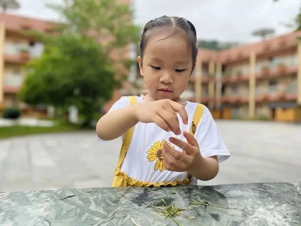 聪明的女孩在学校学新知识_聪明的女孩在学校学新知识_聪明的女孩在学校学新知识