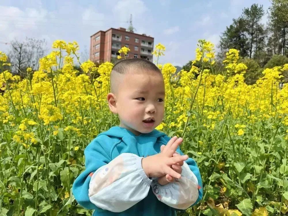 聪明的女孩在学校学新知识_聪明的女孩在学校学新知识_聪明的女孩在学校学新知识