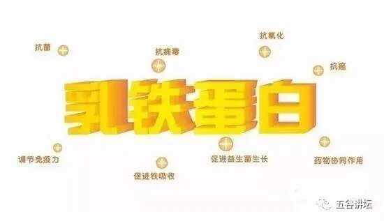 微信图片_20181107220932