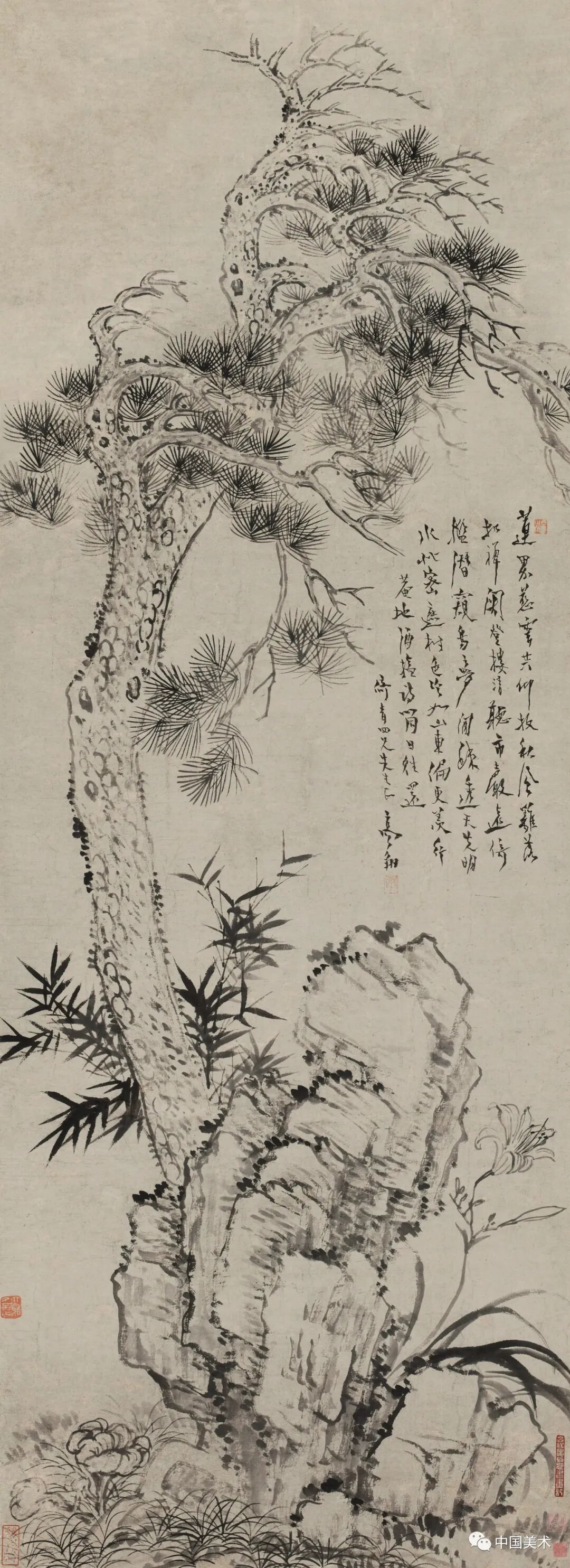 诗中幽禽是指的是_幽禽诗指中是什么动物_诗中幽禽指的是什么