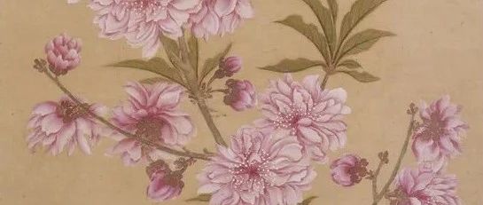恽寿平：花卉图册