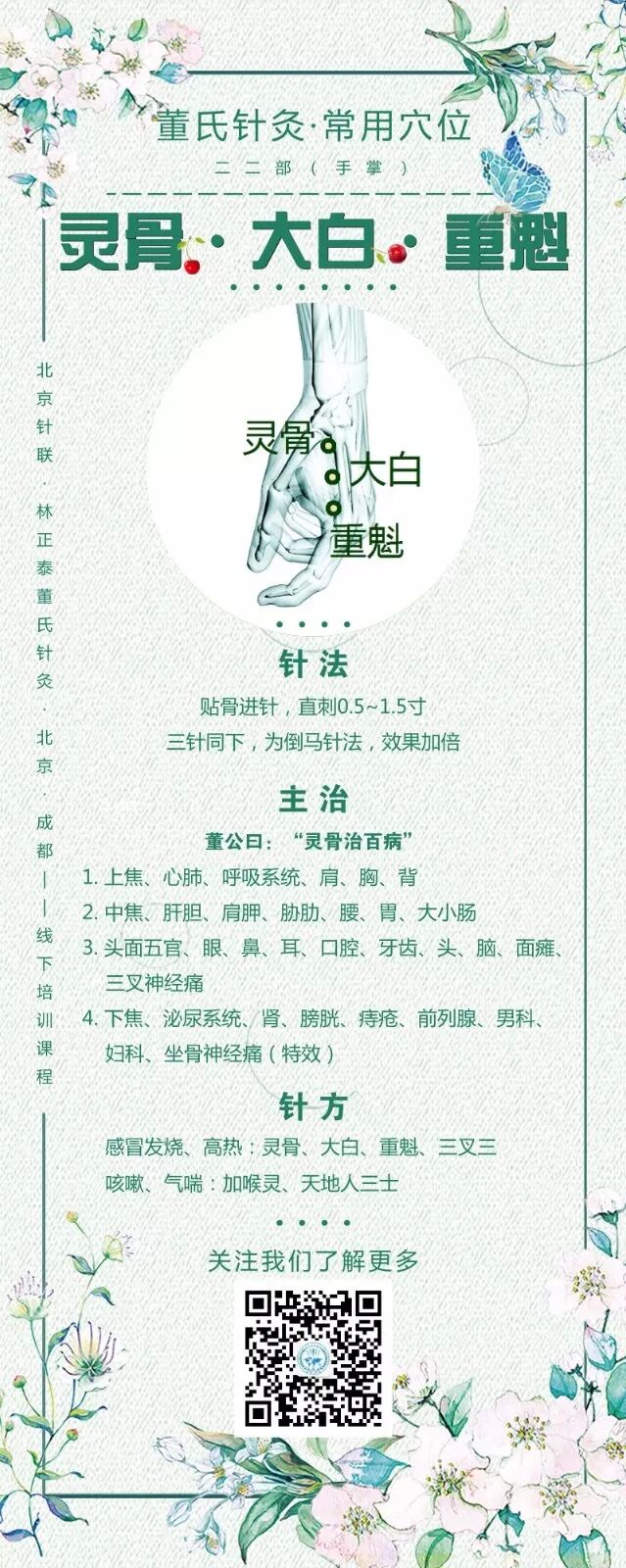 灵骨 大白 重魁 董氏针灸第一配穴 董氏针灸穴位解读 北京针联医案学习平台 微信公众号文章阅读 Wemp