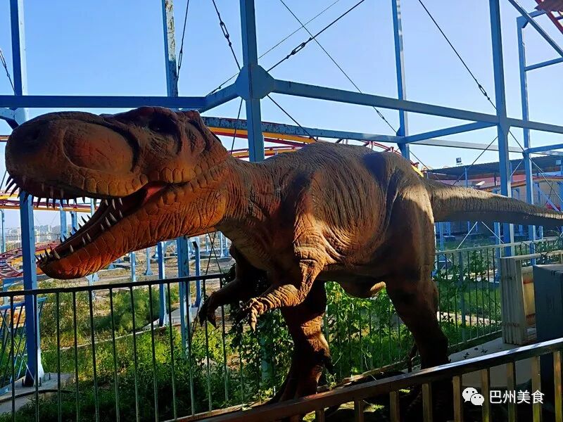 游乐园里都有啥项目_游乐园里有什么游乐项目_游乐场人坐在球里往上抛