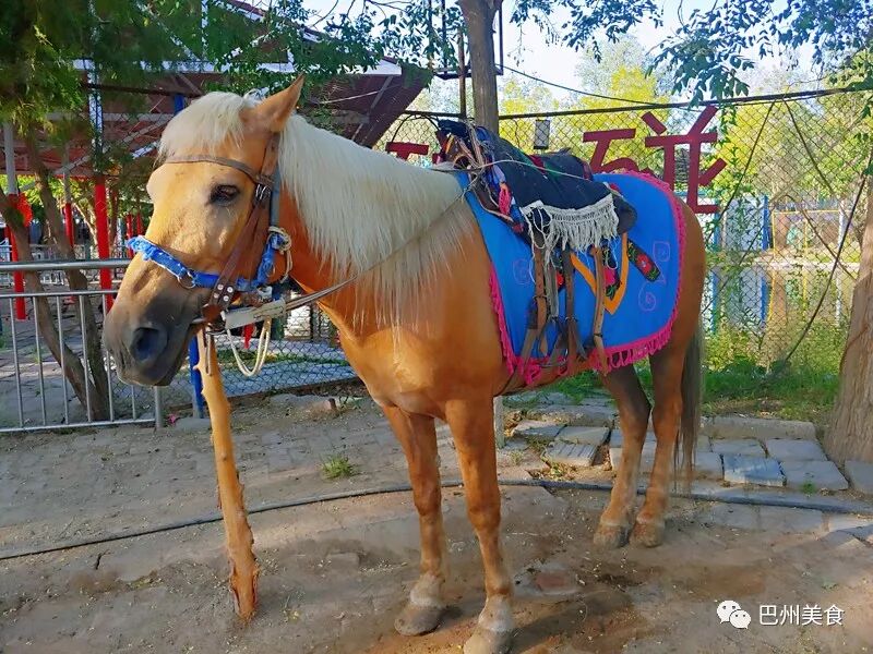 游乐场人坐在球里往上抛_游乐园里都有啥项目_游乐园里有什么游乐项目