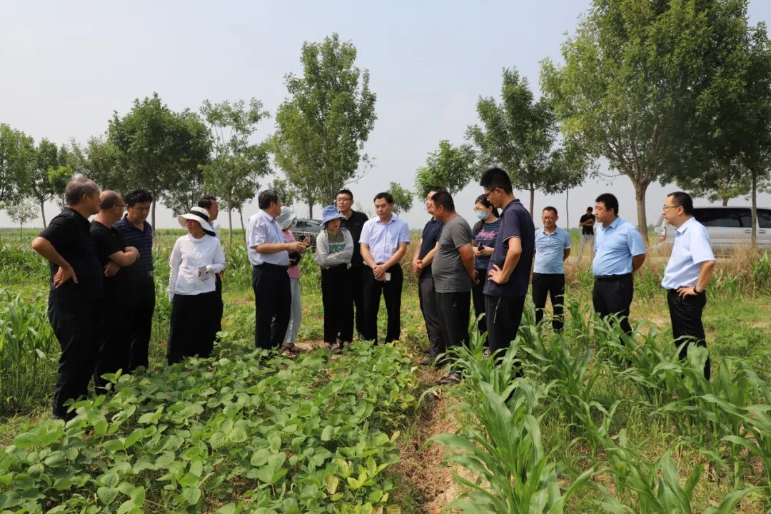 省农业农村厅农村经济管理服务总站副站长许志强一行到沾化区冯家镇