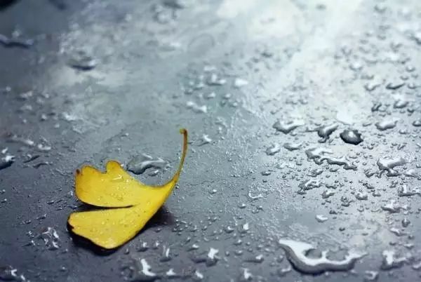 图片[11]-营销哲学 - 如意-如意