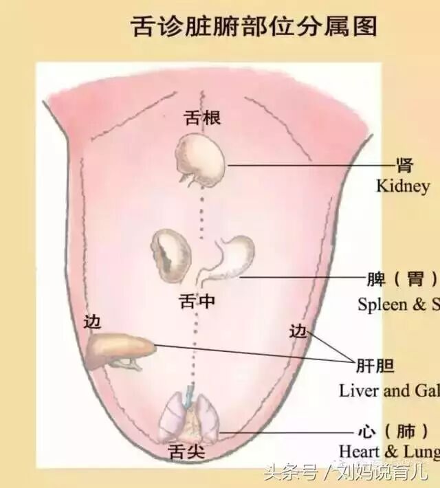 舌尖上的秘密！哪些疾病征兆能从舌头上看出来