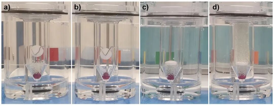 流池法溶出儀性能驗(yàn)證（PVT）最新動(dòng)態(tài)