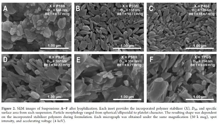 溶出度研究 | 納米混懸液的溶出度測試