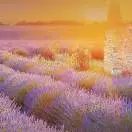 周慧安18329161039