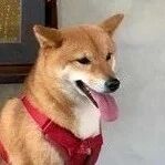 不想弄脏脚，洁癖柴坚持倒立尿尿，奴才傻眼：还会扶墙站着大便