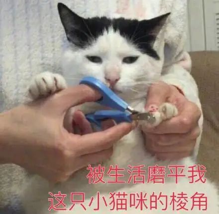 关于励志的名言_名言励志短句_名言励志简短