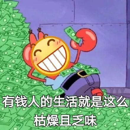 不关注明星八卦只关注如何植发