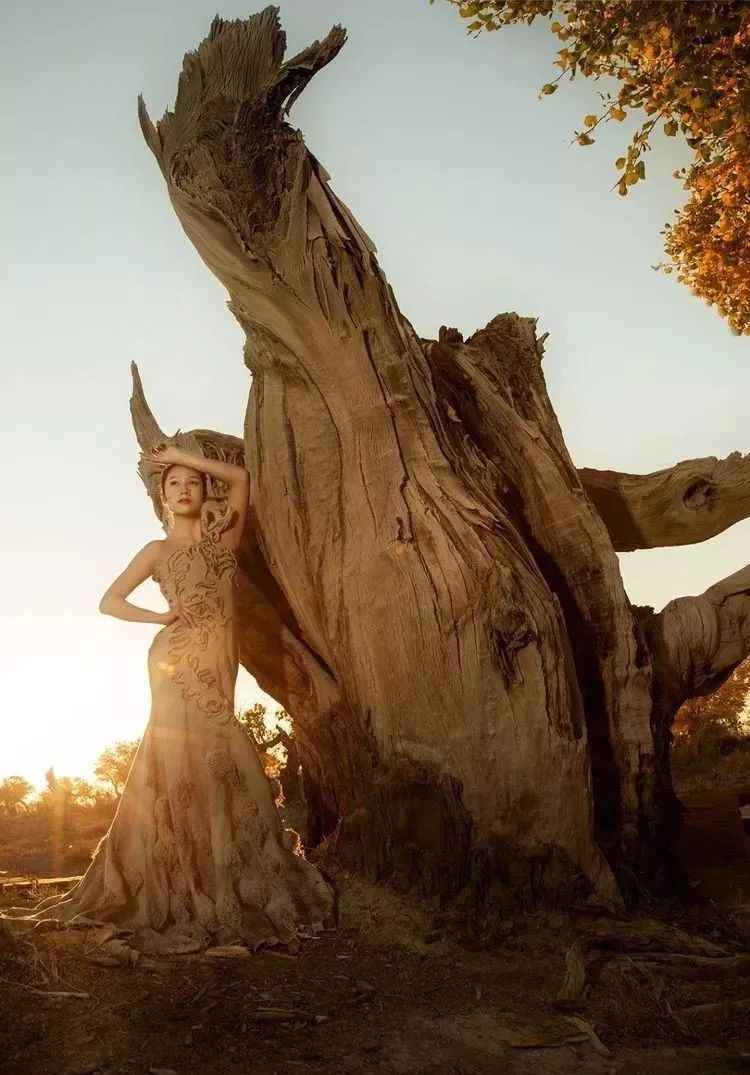 都贵玛草原母亲大爱无疆0202功勋