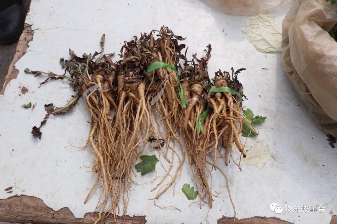 这个是苦菜根,一般用来泡水喝,或者是蘸着面酱吃,1元钱1扎.
