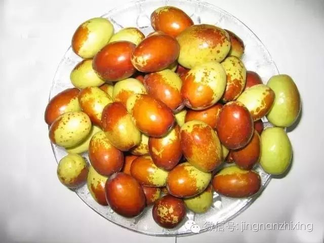 【快说】长辛店评出"枣王"