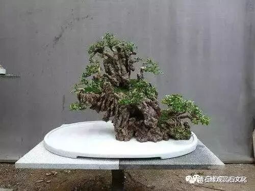 图解 怎么制作一盆山石盆景的方法