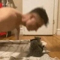 我的麒麟臂没出来，就是因为没有这么可爱的小猫？？