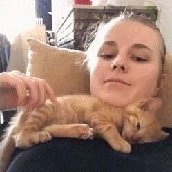 橘猫从小就喜欢睡在女主胸前，长大也没变过