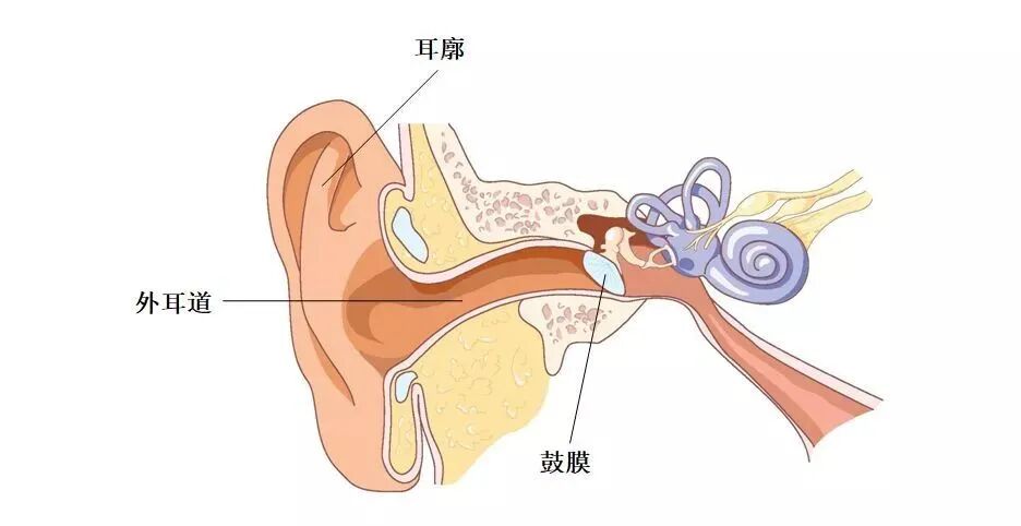 健康科普 | 这些错误的掏耳朵方法，快停下！