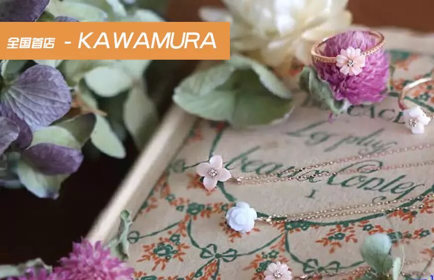 a家家具属于几线品牌_家居电线排名前十的品牌_家具线分类法结构图