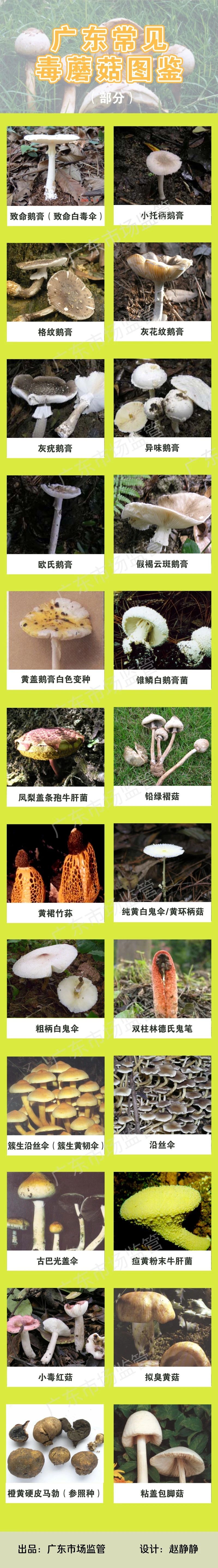 蘑菇|路边的蘑菇，你不要采！6月初，河源至少4人因误食毒蘑菇入院抢救！