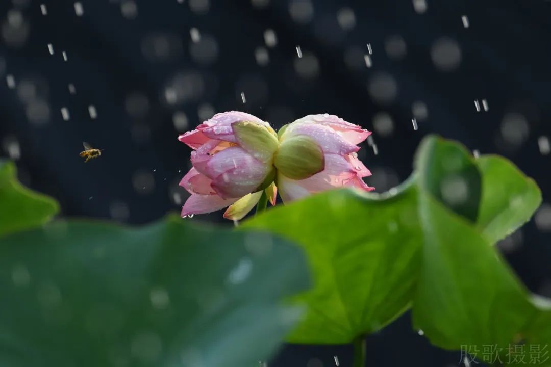 2024年06月12日 贵港天气