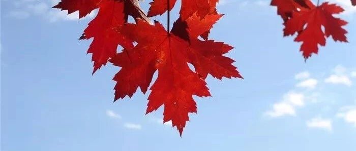 人生，没了健康，就没了一切（好文）