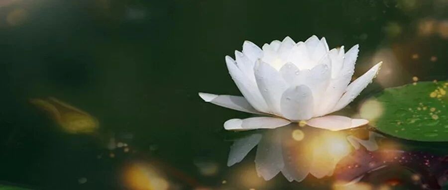 厚道之人，必有厚福（ 好文 ）