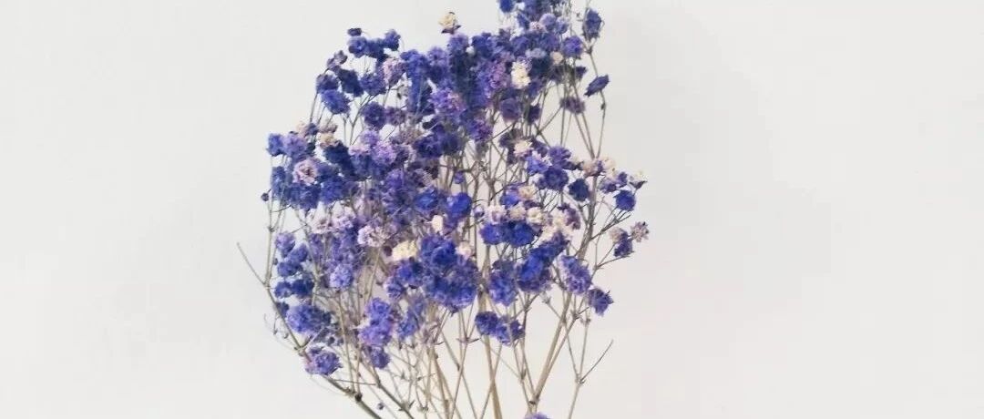 傻傻的我，就这样简单地活。