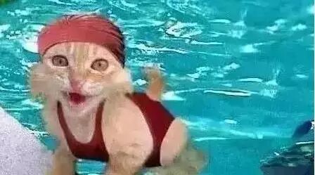 早上好！发个笑话给你，笑晕了！