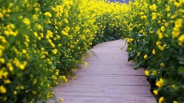 人 （写得真好）