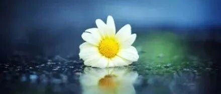 既风骚又哲理的10句话，不服不行