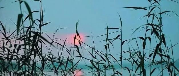 因为信任，所以靠近！（说的真好）