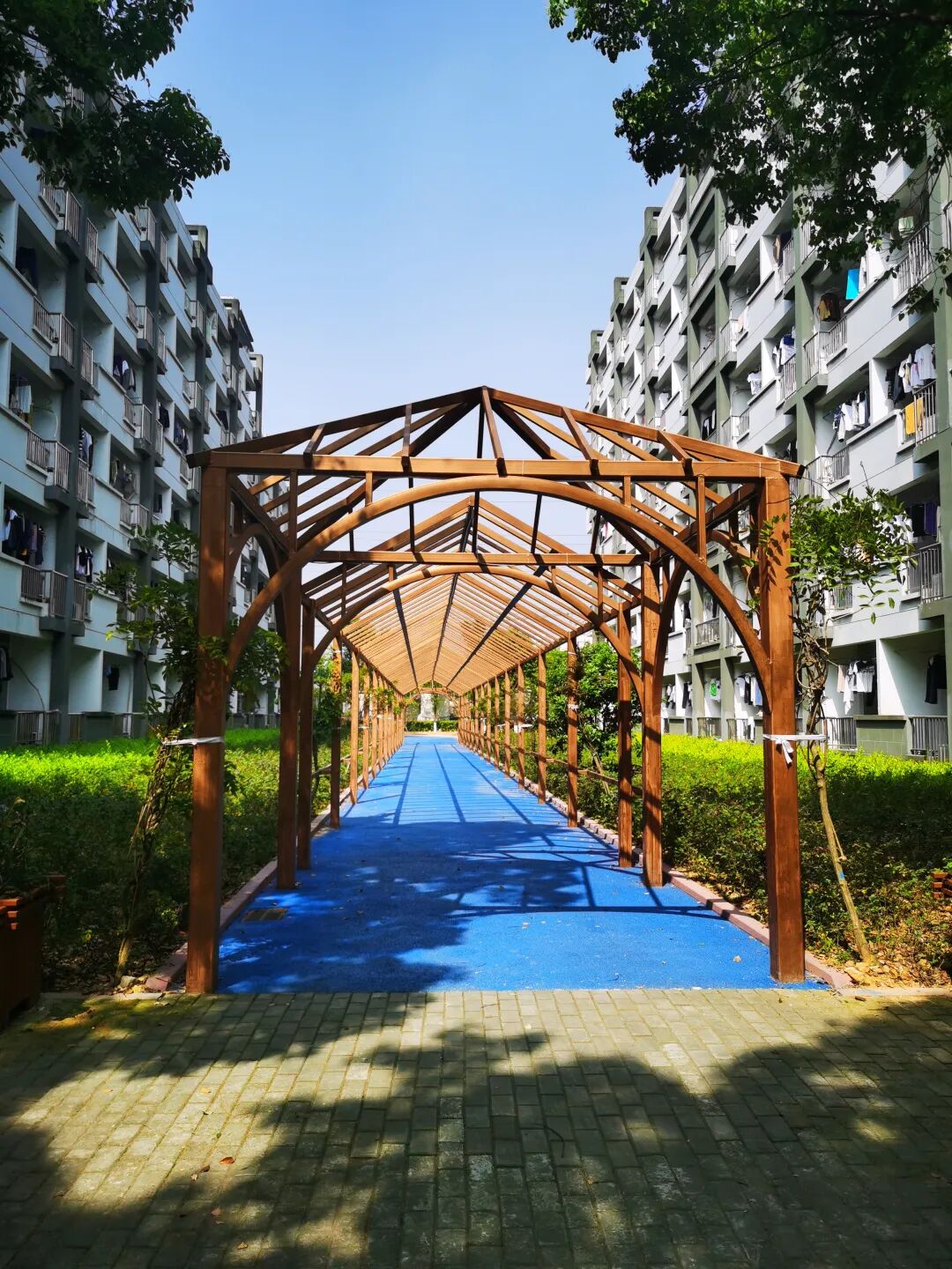 龙湾中学vr_龙湾中学录取分数线2022_龙湾中学