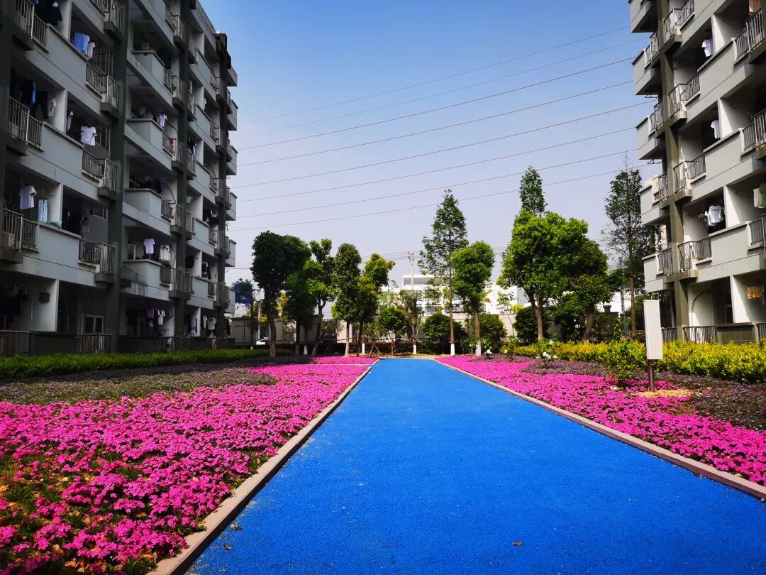 龙湾中学_龙湾中学录取分数线2022_龙湾中学vr